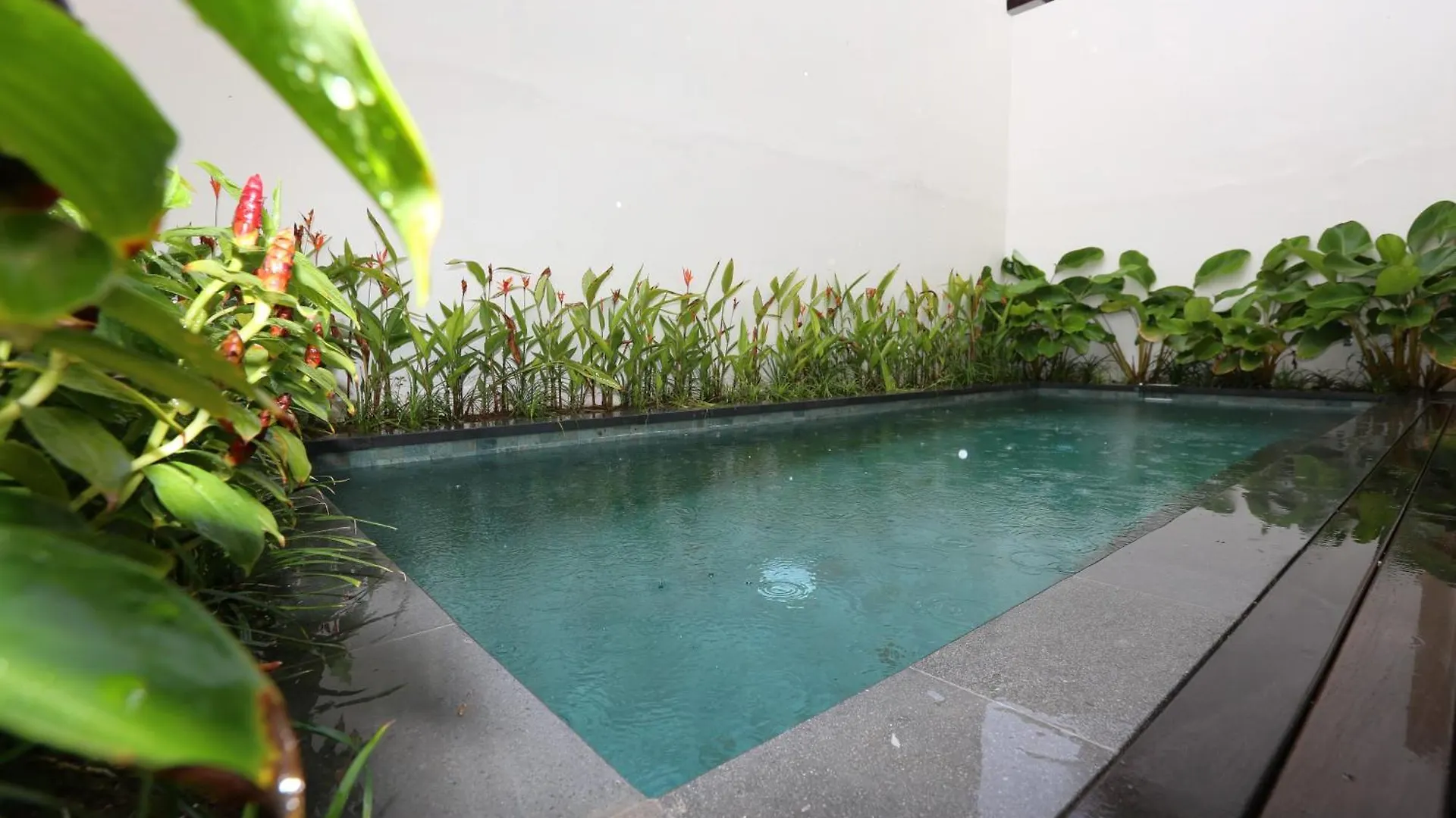 Queen Seminyak Villa By Walidwipa Paradise Hospitality Seminyak (Bali)
