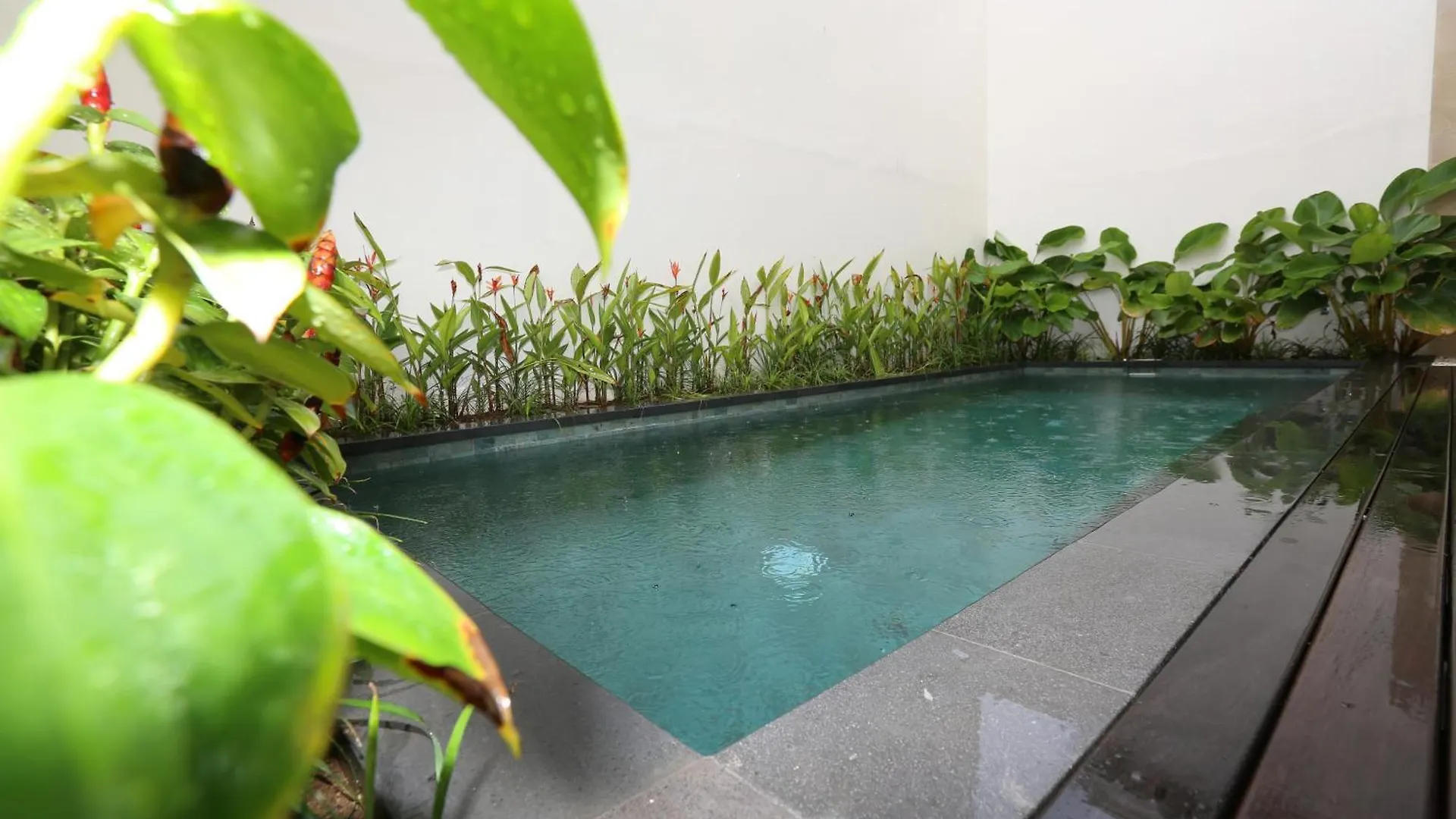 Queen Seminyak Villa By Walidwipa Paradise Hospitality Indonesia